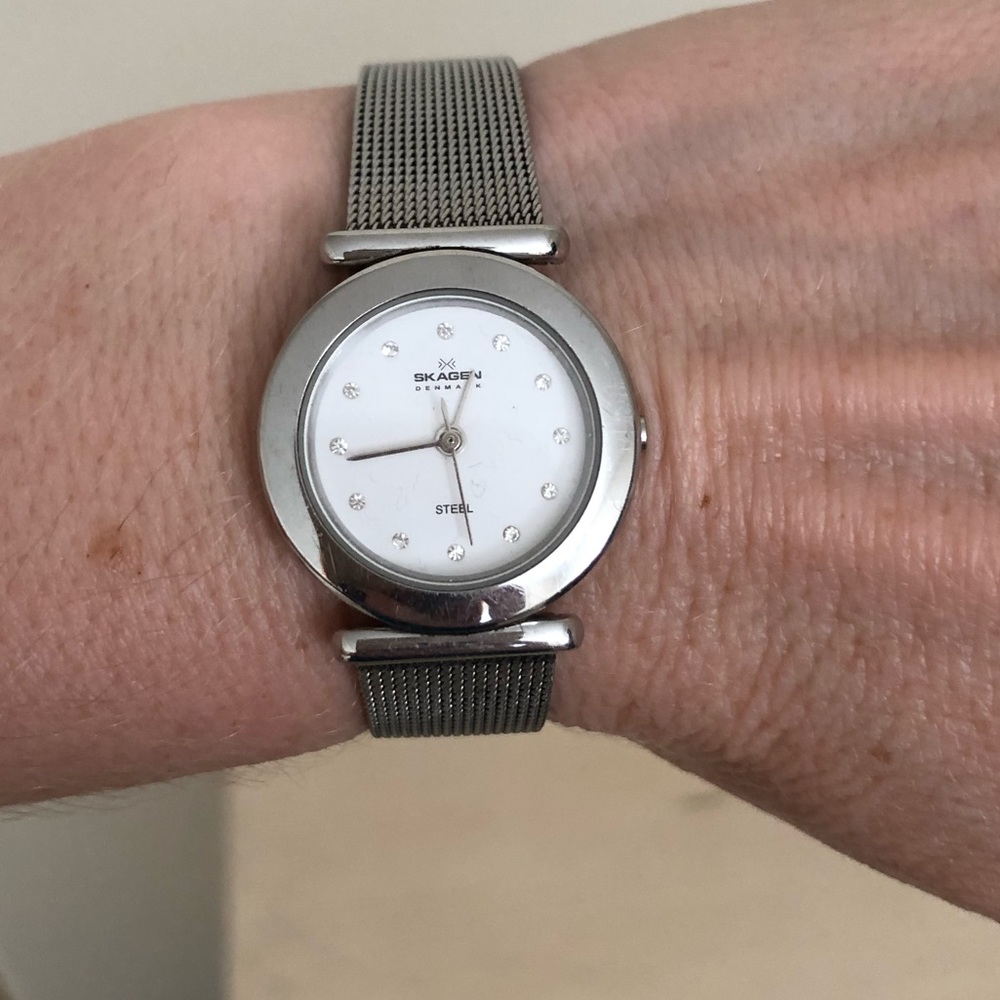Skagen Mesh Watch With Crystal Face